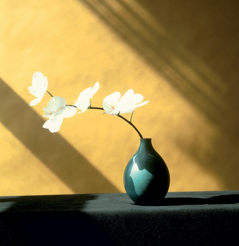Robert Mapplethorpe, Orchid, 1982, Dye Transfer
© Robert Mapplethorpe Foundation.