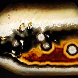 Agathe polyédrique paradoxale provenant de la collection Roger Caillois (photographie©Lelorgnonmélancolique), Muséum National d’Histoire Naturelle, Paris.