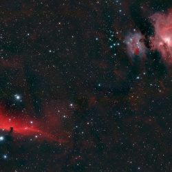 Plusieurs nébuleuses dans Orion: M42, la Tête de Cheval et la Flamme.