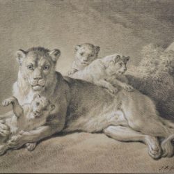 Jean-Baptiste Huet (1745-1811) -  Lionne et ses petits, 1801-1802 (© Albertina Museum)