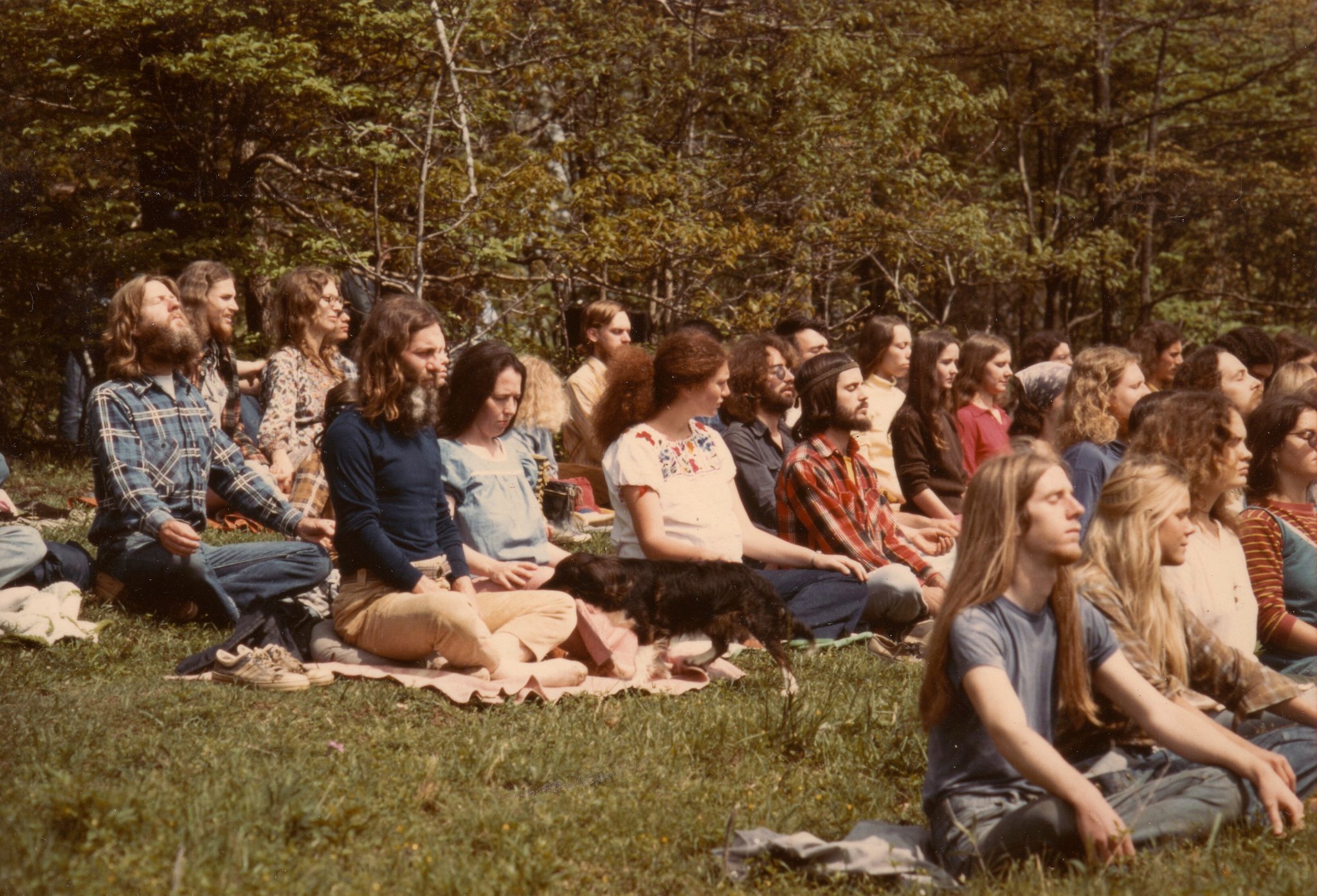 The hippie and the liberalism.